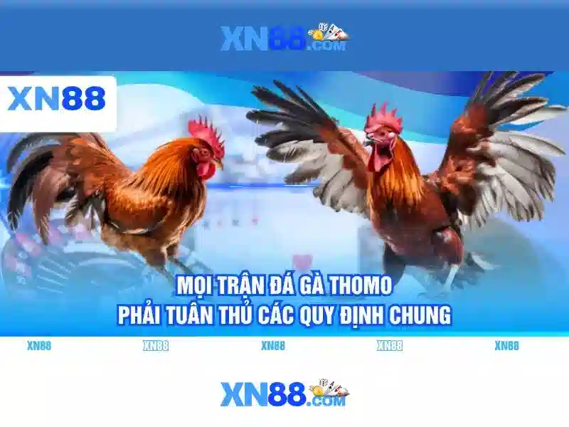 Tải XN88 Miễn Phí