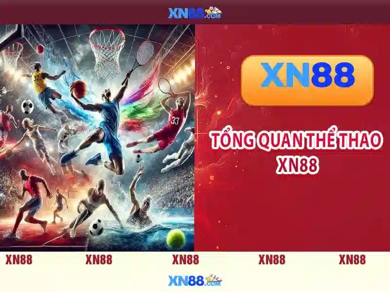 Tính năng chính của XN88