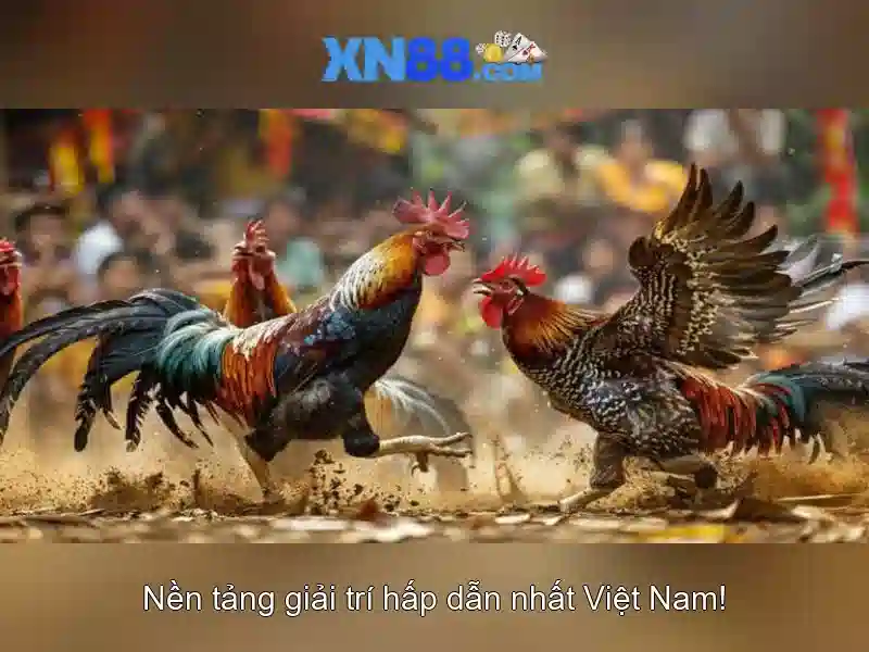 ưu điểm liên hệ