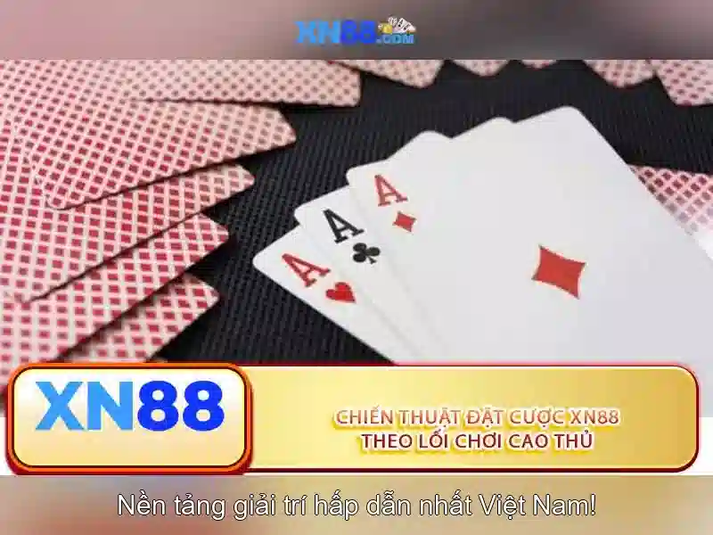 Giới Thiệu XN88